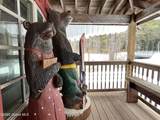 1755 N Shore Drive - Photo 21