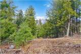 L18 Mountain Meadows Road - Photo 14