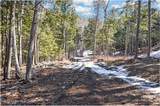 L17 Mountain Meadows Road - Photo 10
