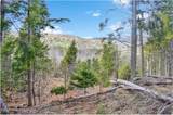 L17 Mountain Meadows Road - Photo 3