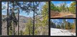 L16 Mountain Meadows Road - Photo 1