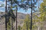 L16 Mountain Meadows Road - Photo 3