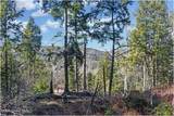 L16 Mountain Meadows Road - Photo 4