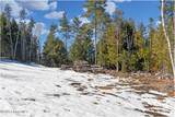 L16 Mountain Meadows Road - Photo 9