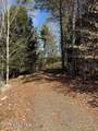 61 Snowshoe Ridge - Photo 2