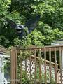 104 14th Street - Photo 22
