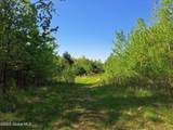 851 Bald Mountain Road - Photo 11