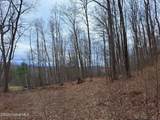 851 Bald Mountain Road - Photo 14