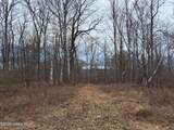 851 Bald Mountain Road - Photo 16