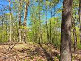 851 Bald Mountain Road - Photo 27