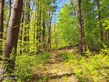 851 Bald Mountain Road - Photo 31
