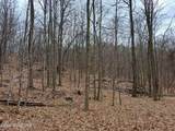 851 Bald Mountain Road - Photo 32