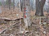 851 Bald Mountain Road - Photo 37