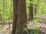 851 Bald Mountain Road - Photo 38