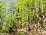 851 Bald Mountain Road - Photo 41