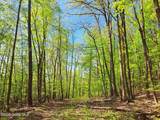 851 Bald Mountain Road - Photo 42