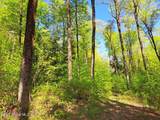 851 Bald Mountain Road - Photo 44