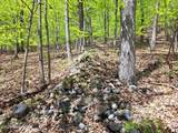 851 Bald Mountain Road - Photo 45