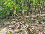 851 Bald Mountain Road - Photo 46