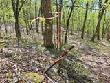 851 Bald Mountain Road - Photo 47