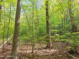 851 Bald Mountain Road - Photo 48