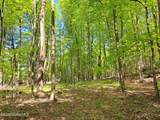 851 Bald Mountain Road - Photo 49