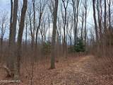 851 Bald Mountain Road - Photo 5