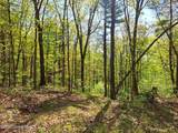 851 Bald Mountain Road - Photo 50