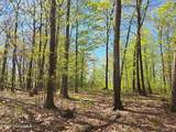 851 Bald Mountain Road - Photo 52