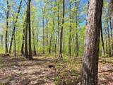 851 Bald Mountain Road - Photo 53