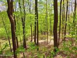 851 Bald Mountain Road - Photo 54