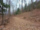 851 Bald Mountain Road - Photo 6
