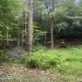 L40 Rainbow Way - Photo 1