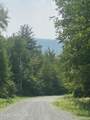 L20.44 Robinson Hollow Way - Photo 1