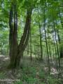 L20.44 Robinson Hollow Way - Photo 11