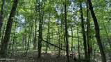 L20.44 Robinson Hollow Way - Photo 12