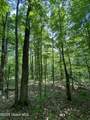 L20.44 Robinson Hollow Way - Photo 3