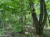 L20.44 Robinson Hollow Way - Photo 4