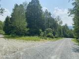 L20.44 Robinson Hollow Way - Photo 7