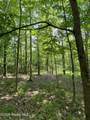 L20.44 Robinson Hollow Way - Photo 8