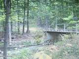 L1.2 Trout Brook Road - Photo 1