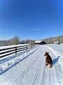 85 Stuffle Street - Photo 128