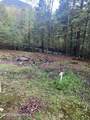 434 Old Stage Road - Photo 7