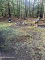 434 Old Stage Road - Photo 8