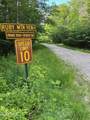 L81.112 Ruby Mountain View Drive - Photo 2