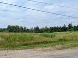 31 Pulcher - Photo 2