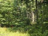 L3.2 Black River Road - Photo 10