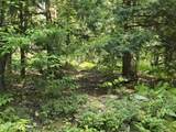 L3.2 Black River Road - Photo 13