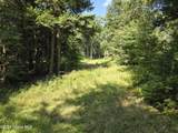 L3.2 Black River Road - Photo 2