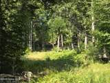 L3.2 Black River Road - Photo 9